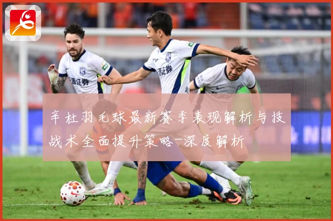 辛杜羽毛球最新赛季表现解析与技战术全面提升策略-深度解析