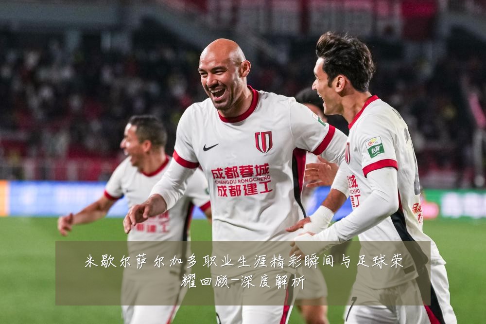 米歇尔萨尔加多职业生涯精彩瞬间与足球荣耀回顾-深度解析