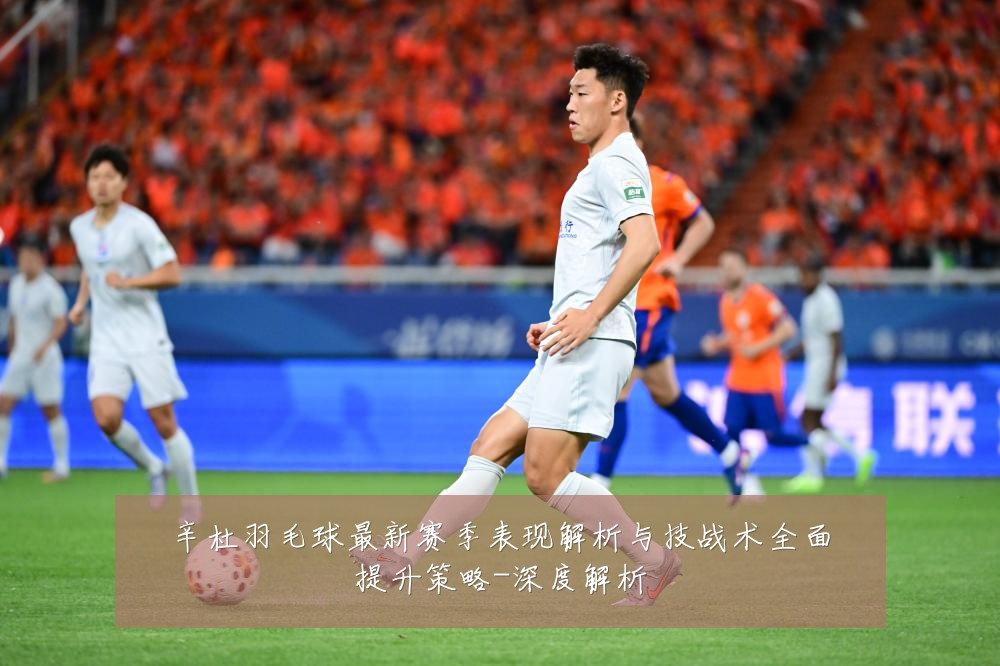 辛杜羽毛球最新赛季表现解析与技战术全面提升策略-深度解析